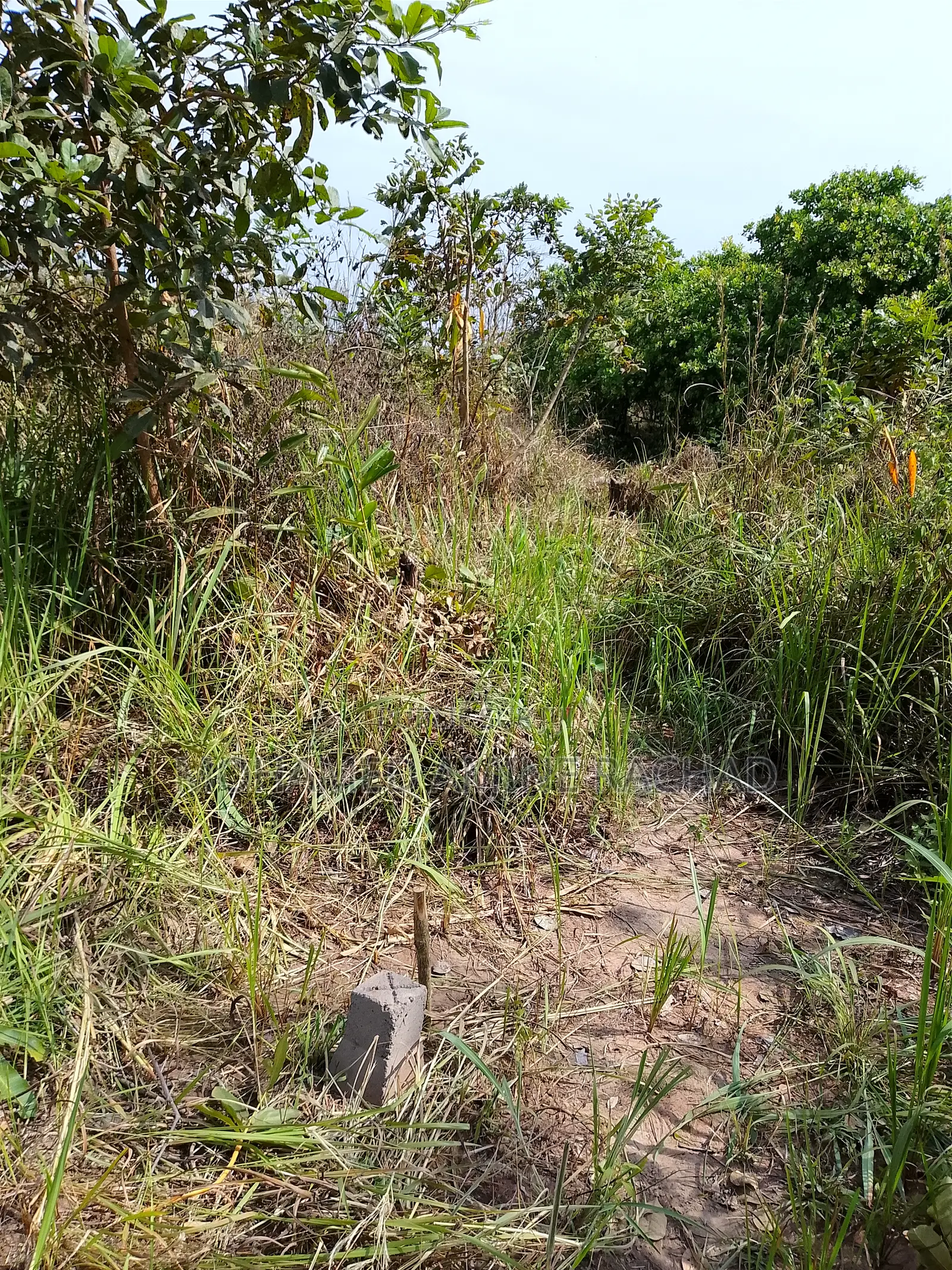 Nouveau Lotissement Bamoro