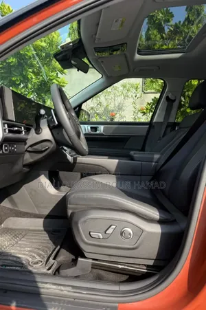 Hyundai Santa Fe 2025 Orange