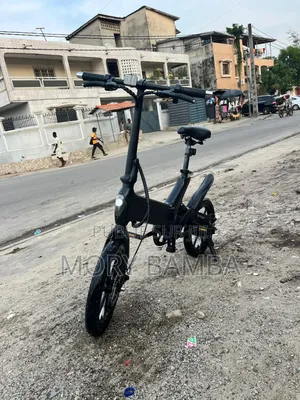Vélo Électrique