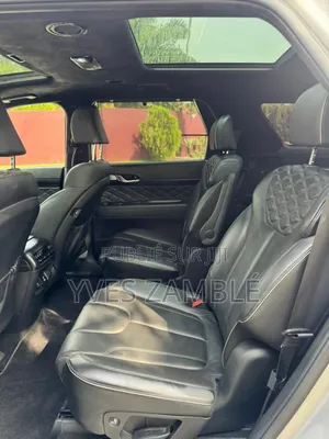 Hyundai Palissade 2022 Gris