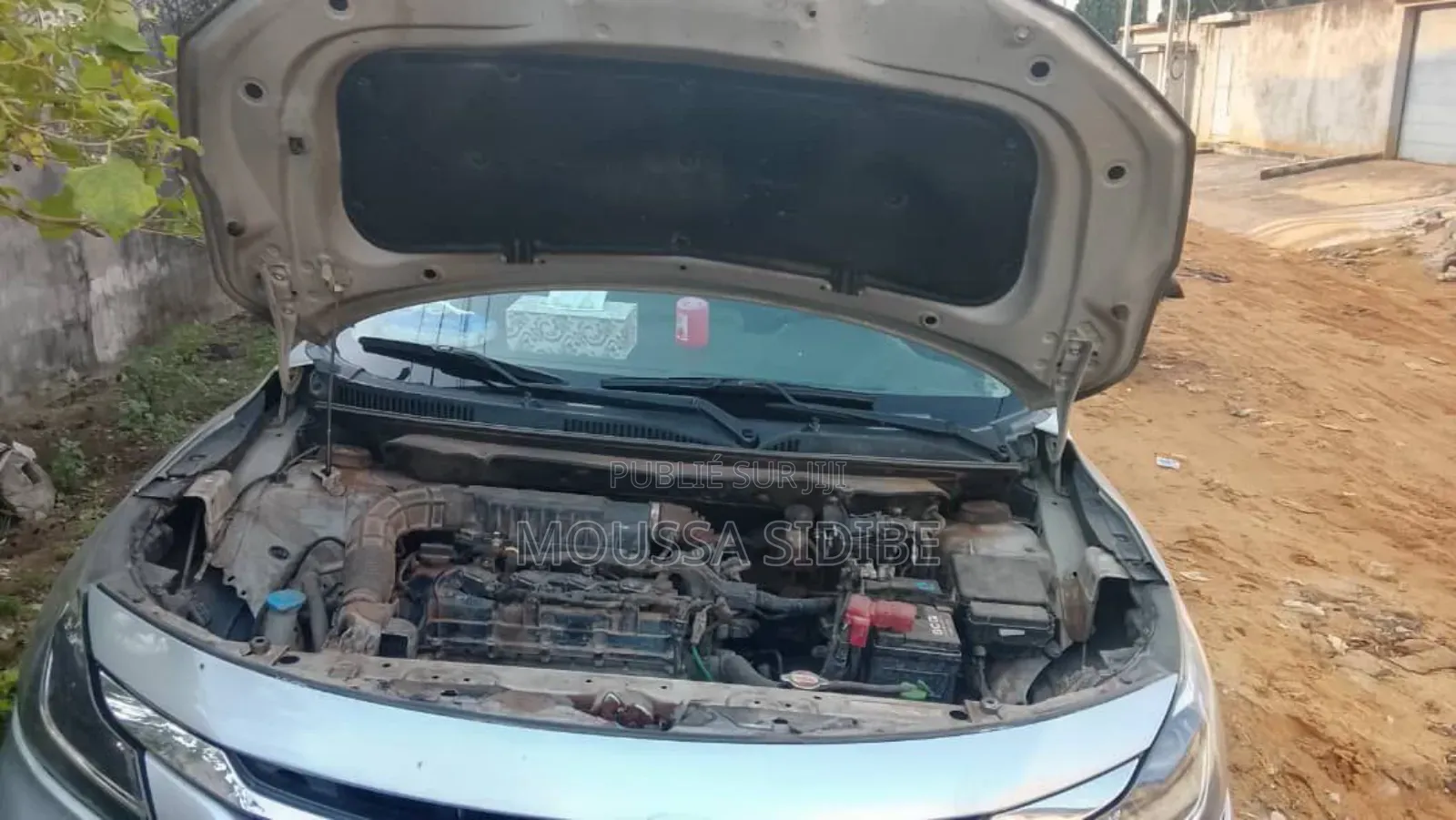 Toyota Starlet 2023 Gris