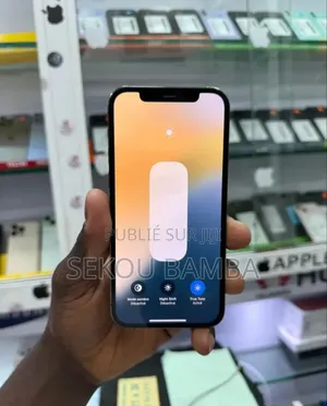 New Apple iPhone 12 Pro 256 GB Blue