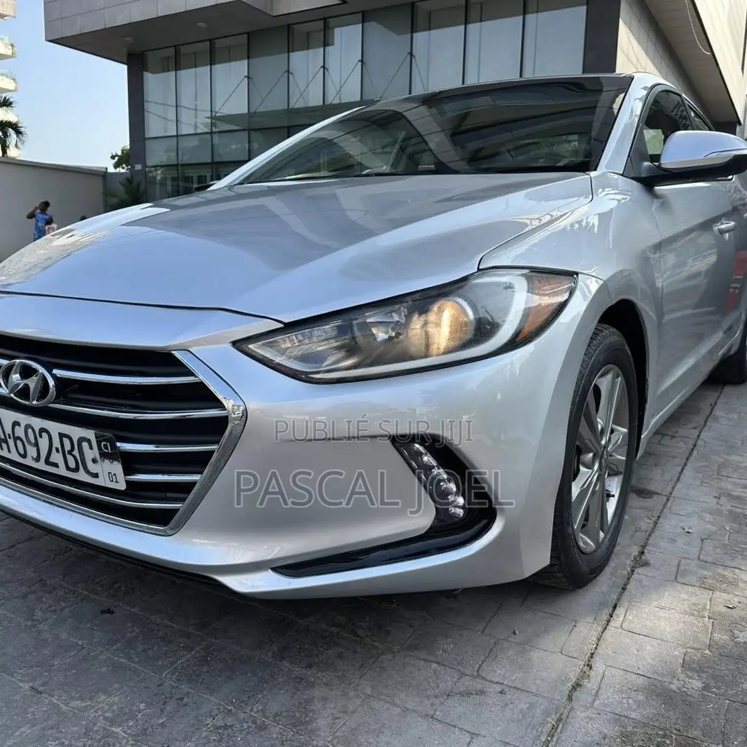 Hyundai Elantra 2019 Gris