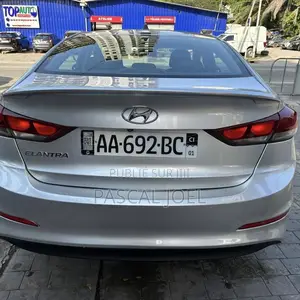 Hyundai Elantra 2019 Gris