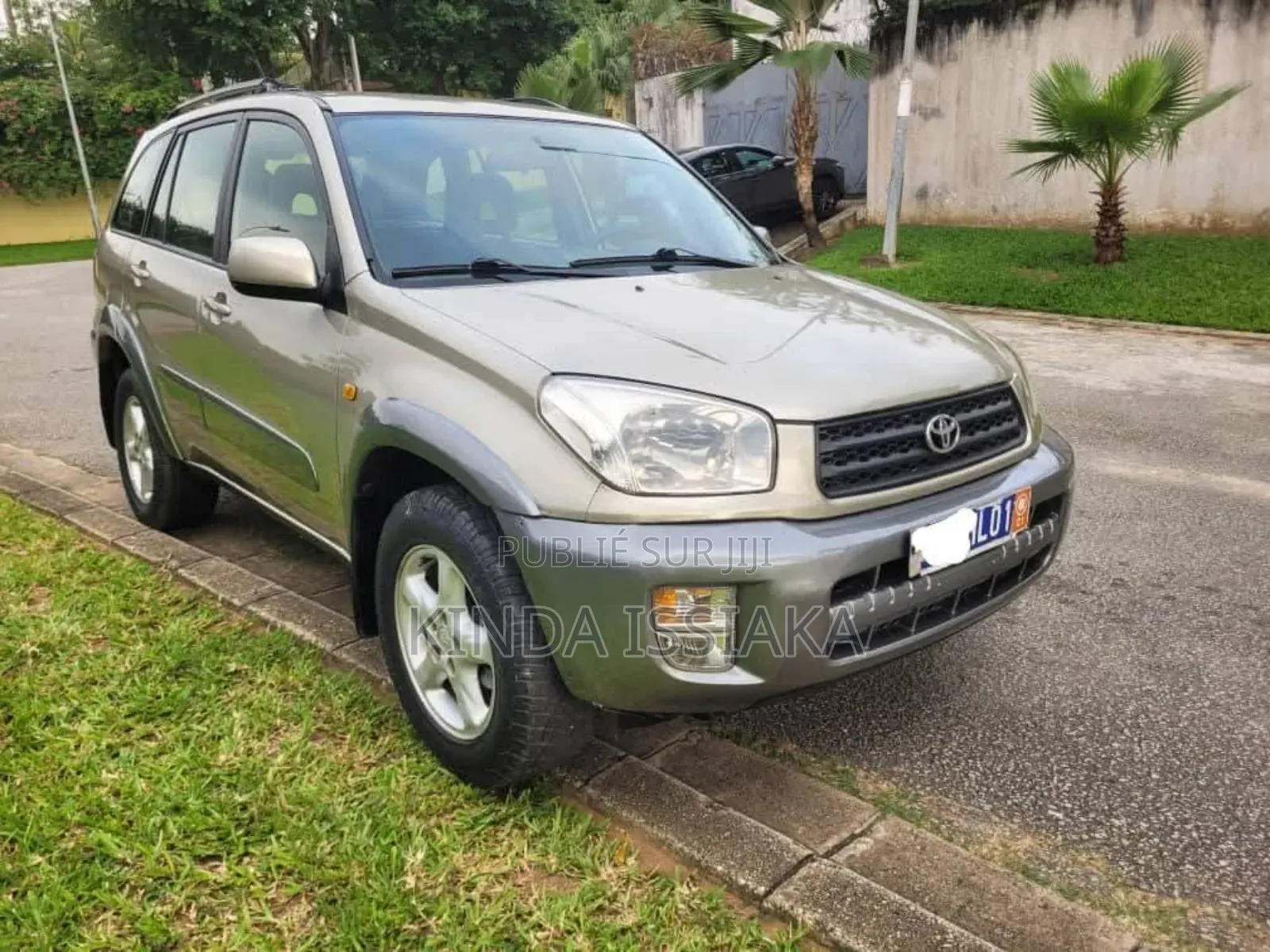Toyota RAV4 2.0 4x4 2004 Gris