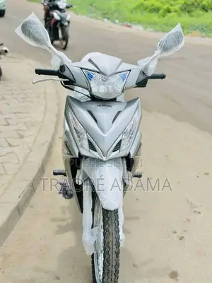 Photo - New Honda 2024 Gris