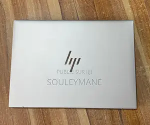 Ordinateur Portable HP EliteBook 840 G7 16GB AMD Ryzen 5 SSD 256GB