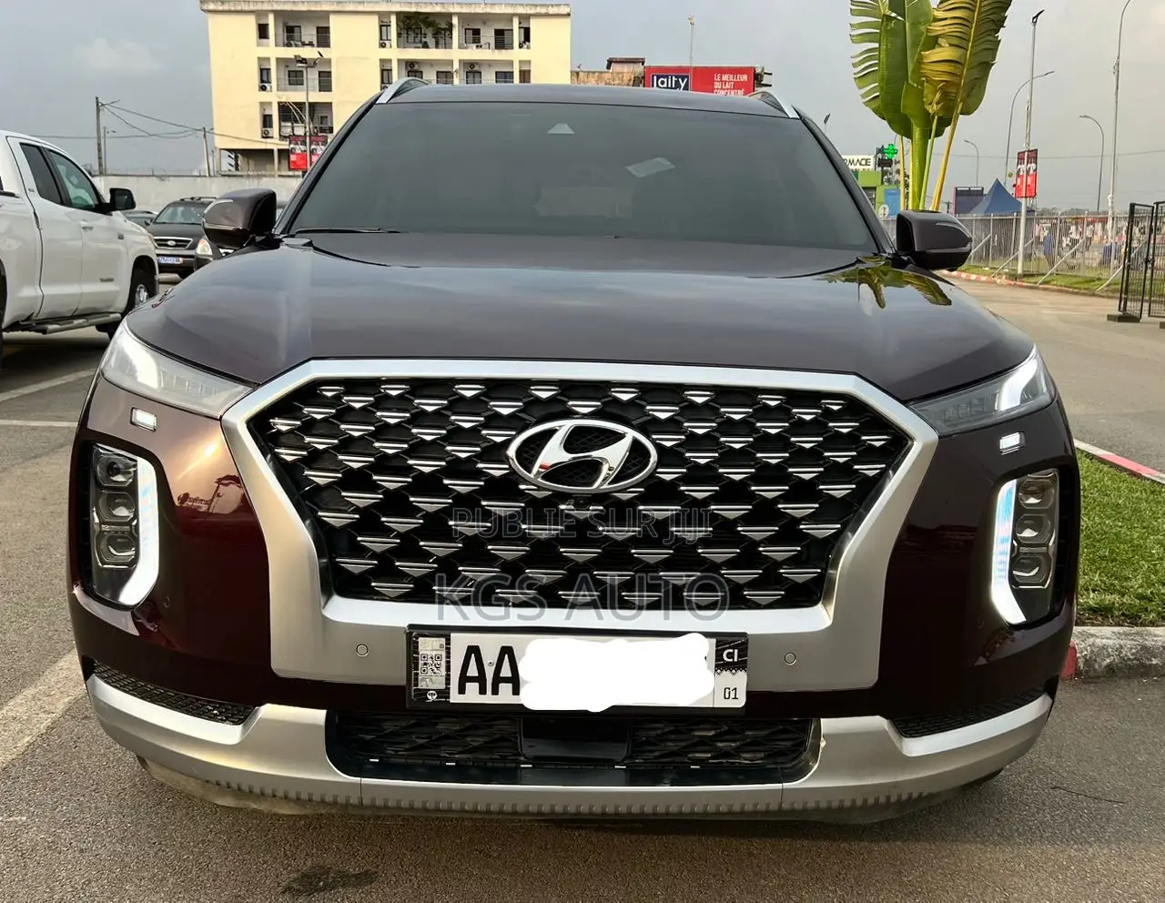 Hyundai Palissade Calligraphy 2021 Marron