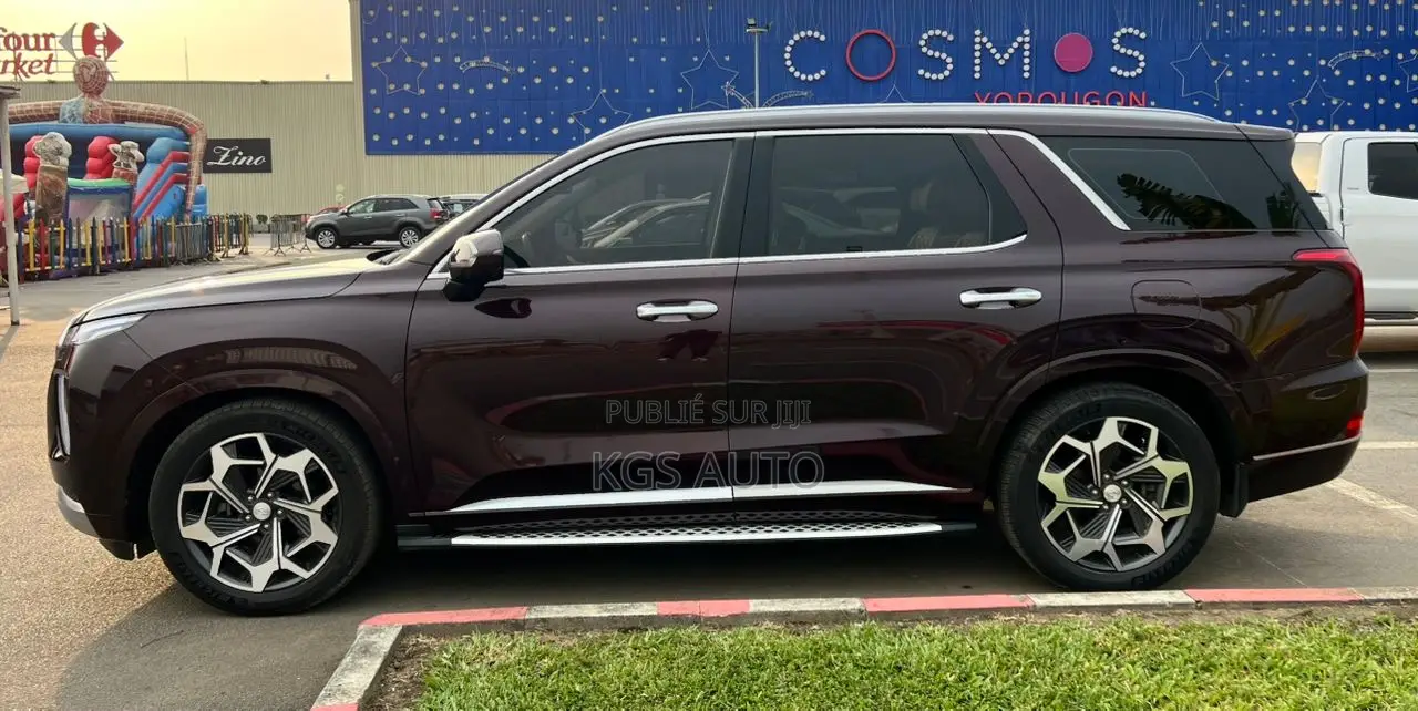 Hyundai Palissade Calligraphy 2021 Marron