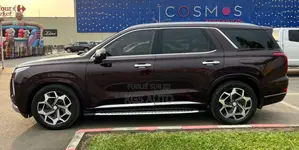 Hyundai Palissade Calligraphy 2021 Marron