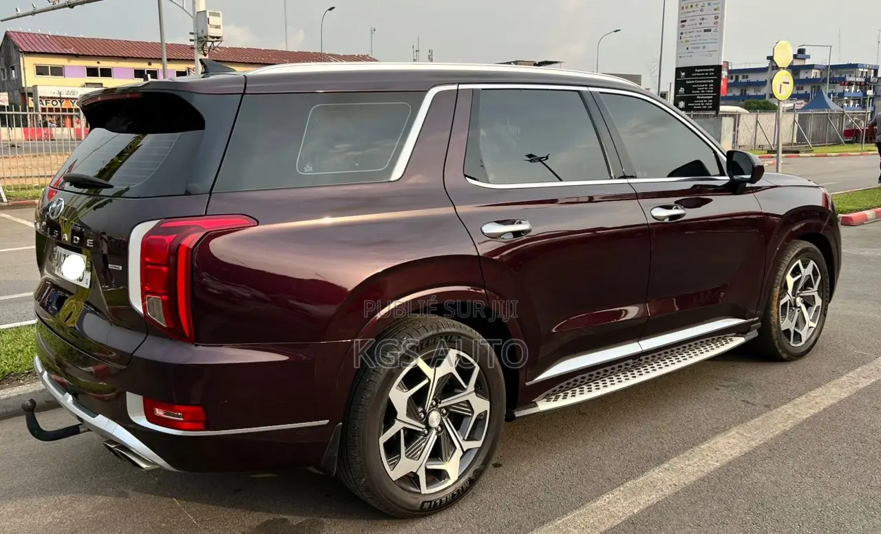 Hyundai Palissade Calligraphy 2021 Marron