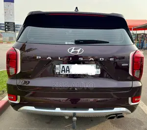 Hyundai Palissade Calligraphy 2021 Marron