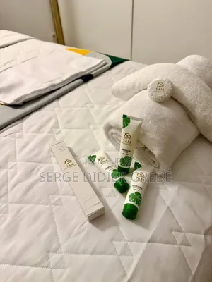 Furnished 1chbre Studio dans Grebemultiservices, Deux Plateaux à Louer