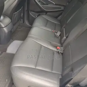 Hyundai Santa Fe 2018 Autre