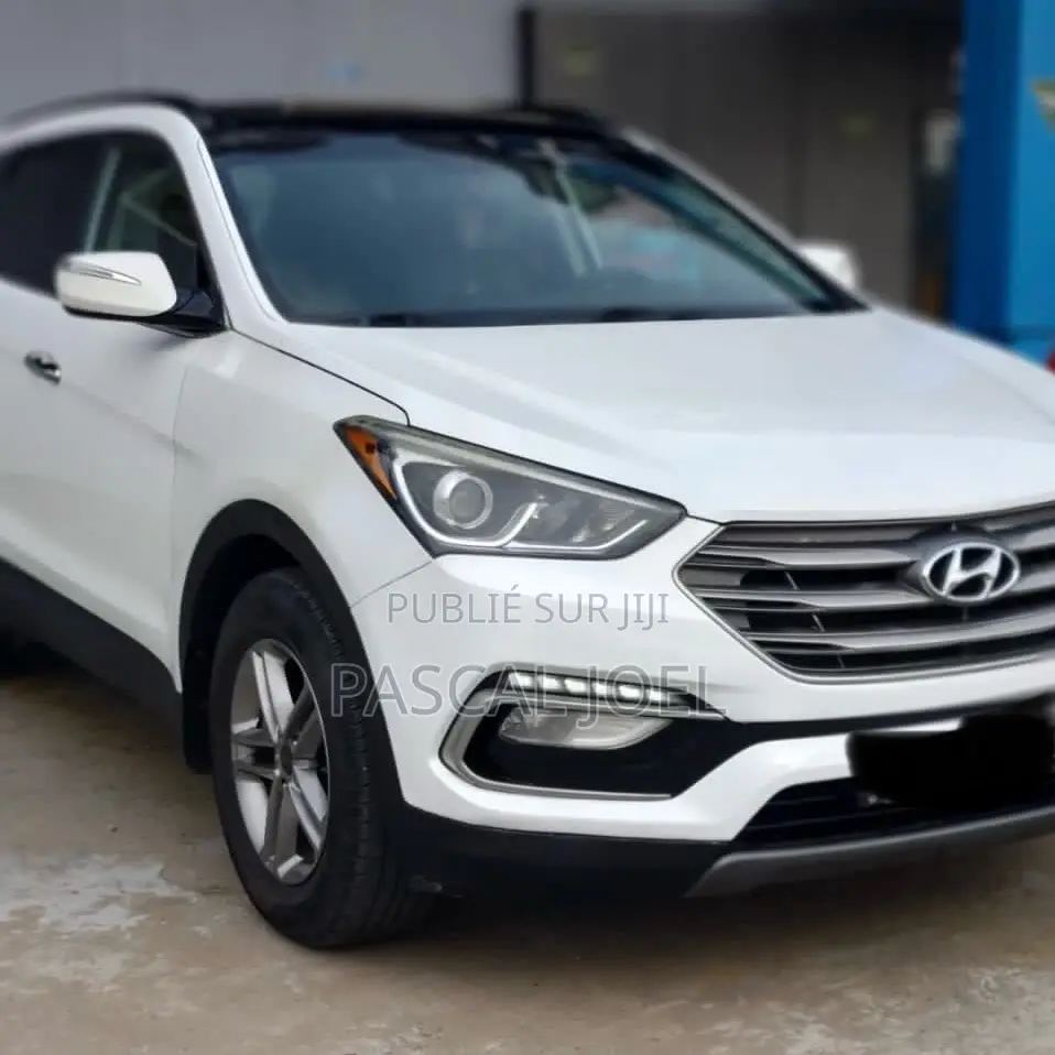 Hyundai Santa Fe 2018 Autre