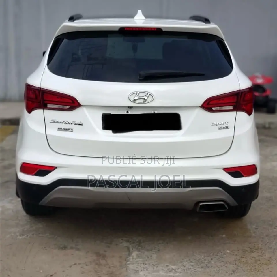 Hyundai Santa Fe 2018 Autre
