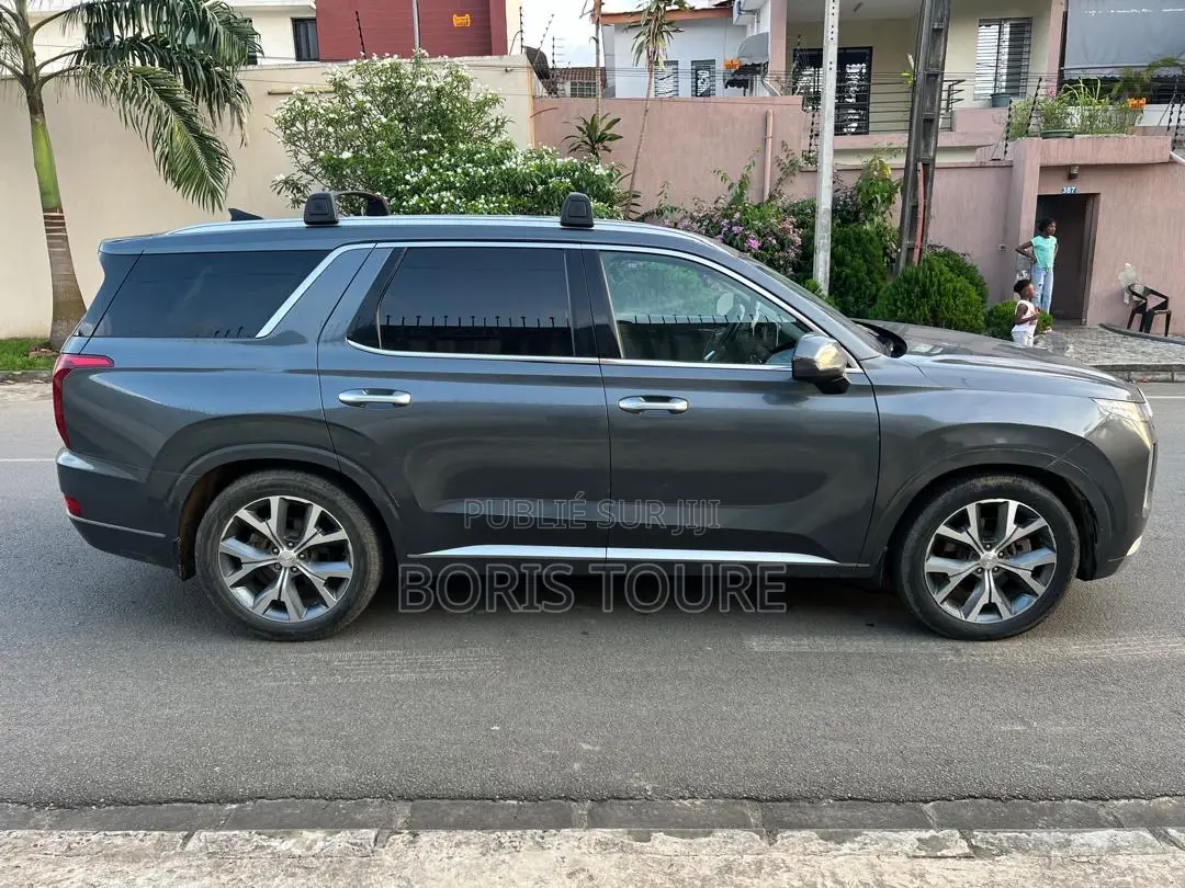 Hyundai Palissade Calligraphy 2022 Gris