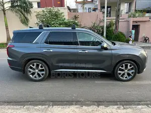 Hyundai Palissade Calligraphy 2022 Gris