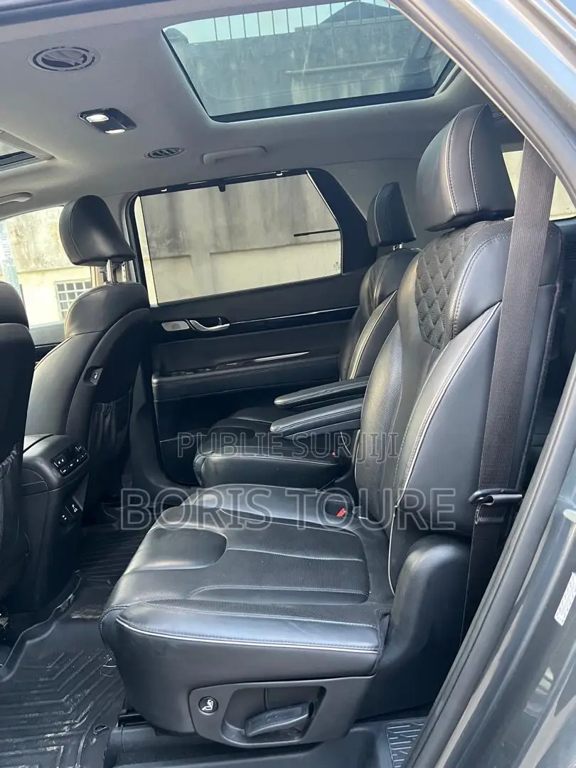 Hyundai Palissade Calligraphy 2022 Gris