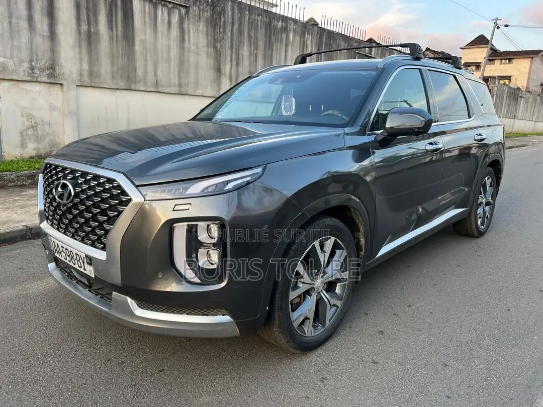 Hyundai Palissade Calligraphy 2022 Gris