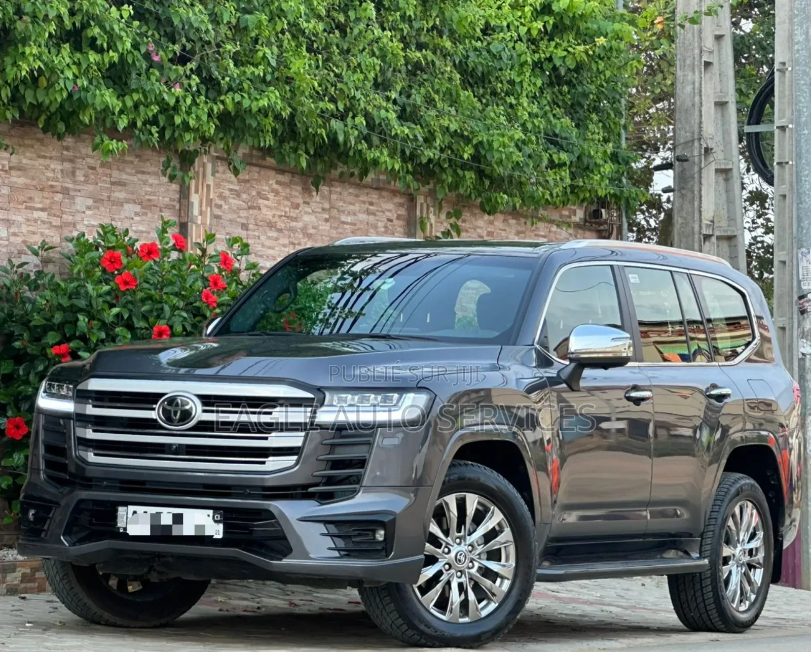 Toyota Land Cruiser 2024 Gris