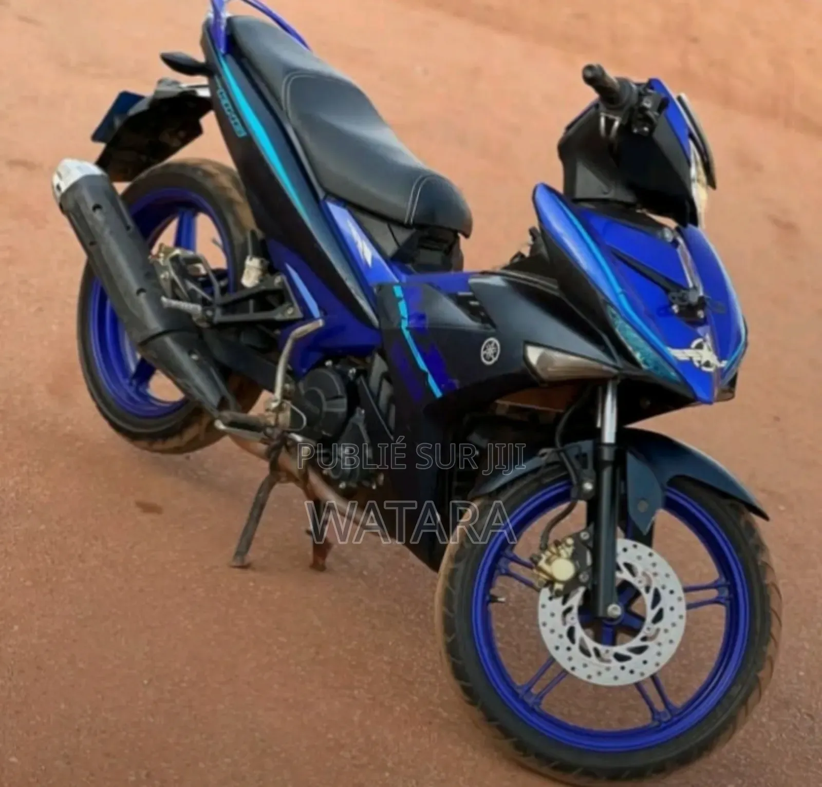 New Custom Built Motorcycles 2025