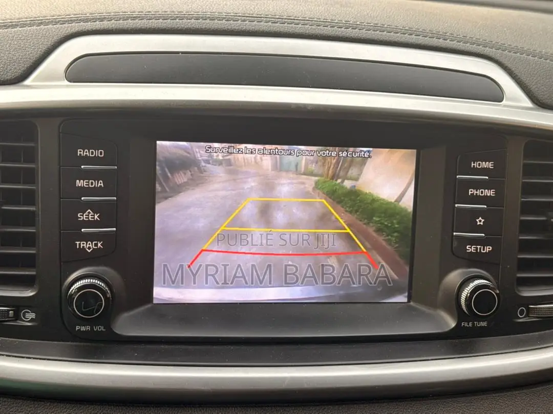 Kia Sorento 2019 Marron