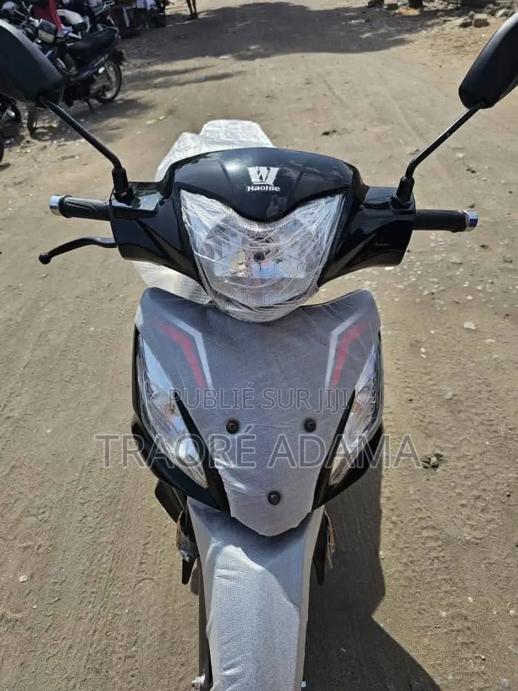 New Haojue HJ110-3 2020