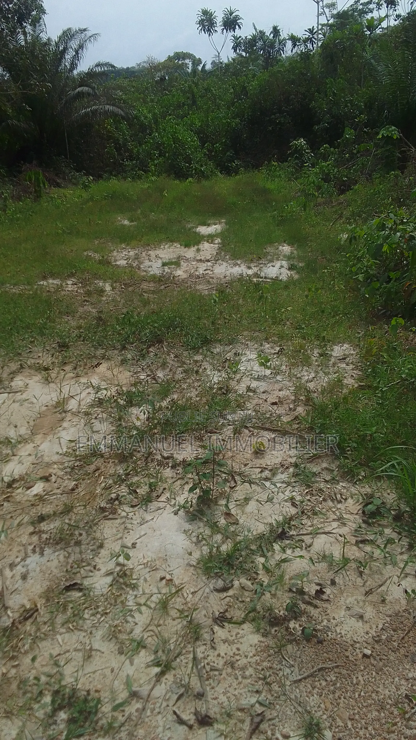 Vente Et Location De Lots