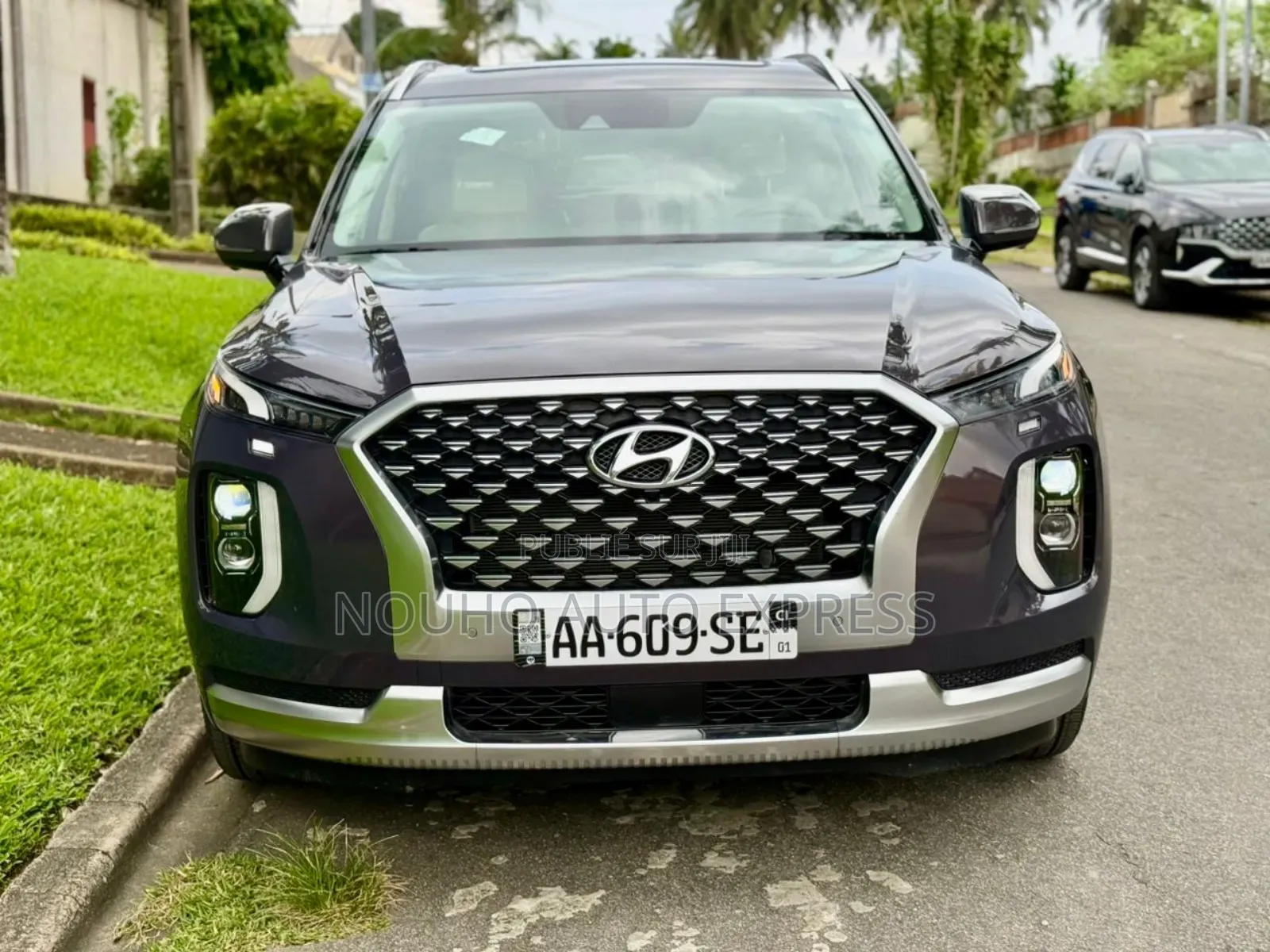 Hyundai Palissade 2021 Marron