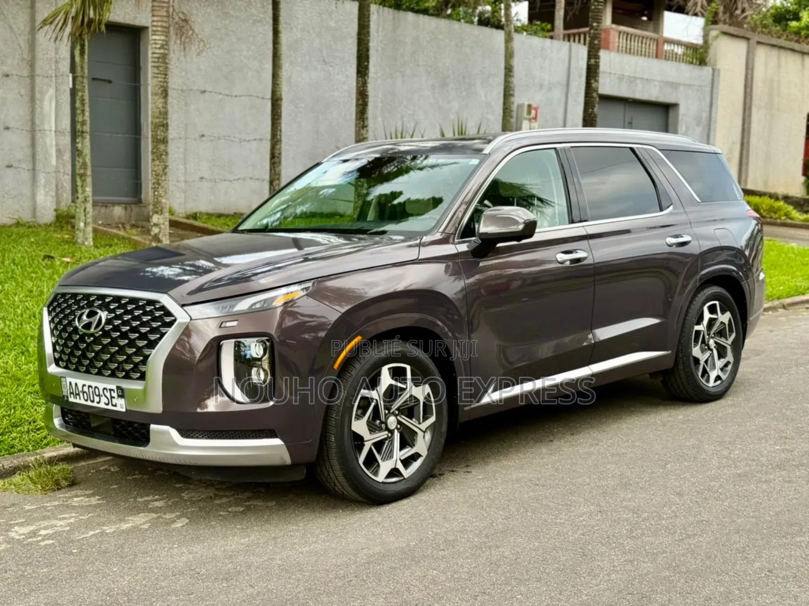 Hyundai Palissade 2021 Marron