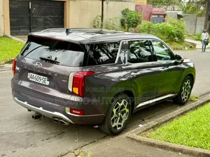 Hyundai Palissade 2021 Marron