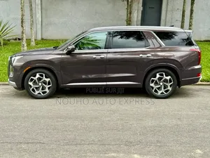 Hyundai Palissade 2021 Marron