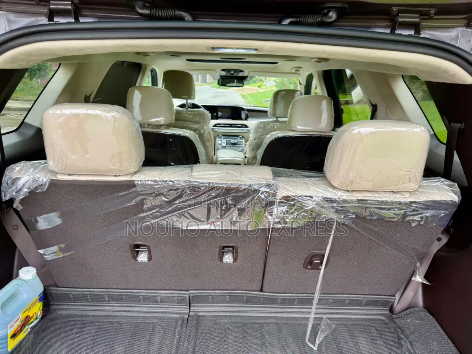 Hyundai Palissade 2021 Marron