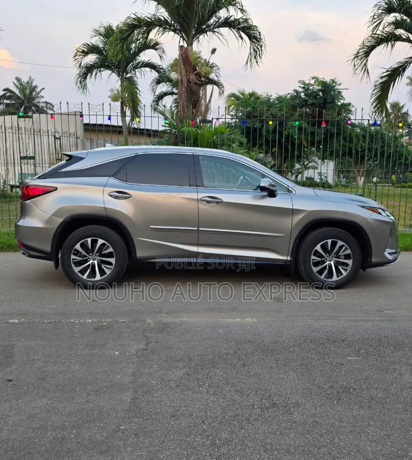 Lexus RX 2022 Gris