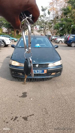 Peugeot 406 2002 Vert