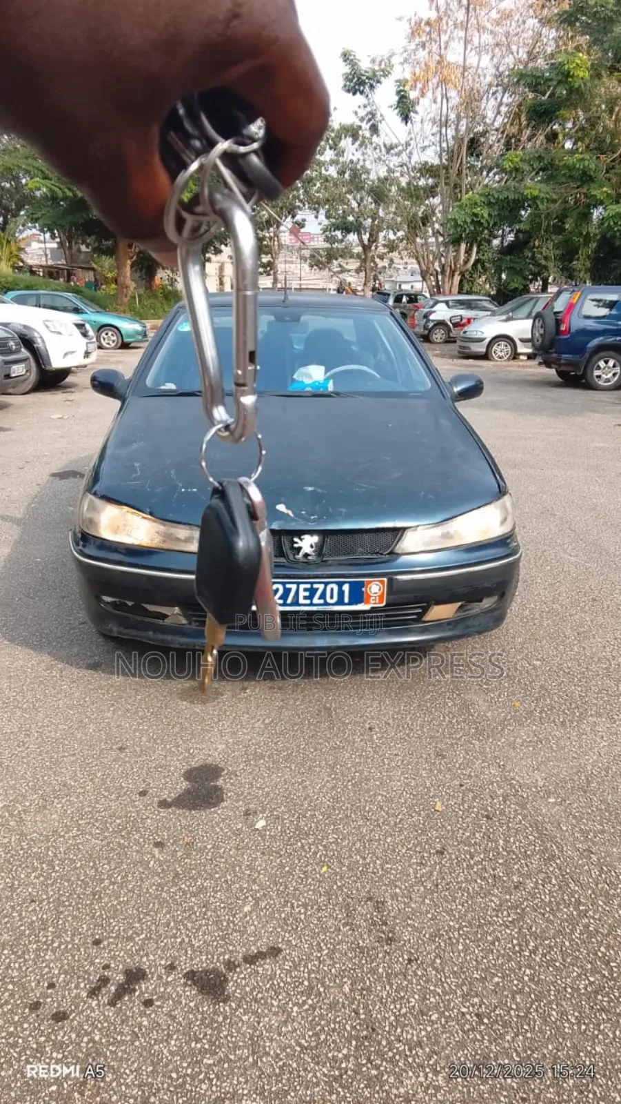 Peugeot 406 2002 Vert