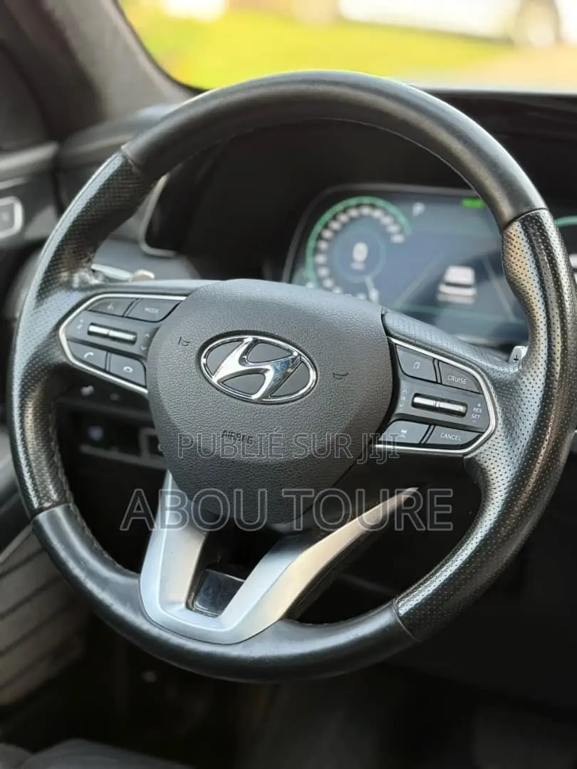 Hyundai Palissade 2022 Noir Mat