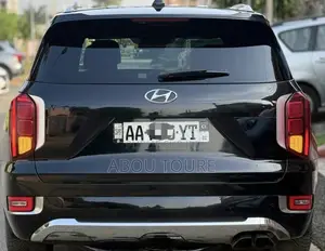 Hyundai Palissade 2022 Noir Mat