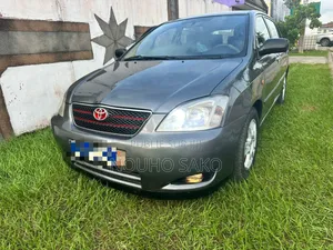 Toyota Corolla 2003 Gris