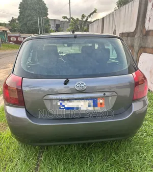 Toyota Corolla 2003 Gris