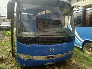 Higer KLQ6896AE42 2014 Blue