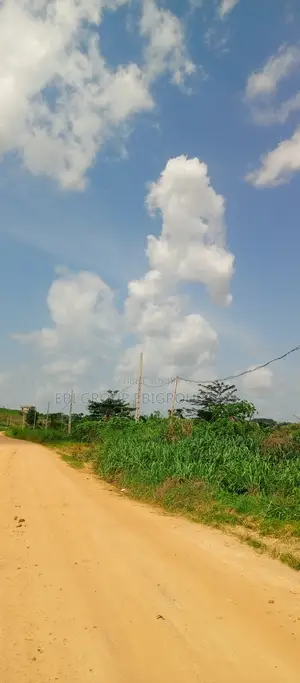 Terrain 600 M2 en Bordure a Louer Bingerville