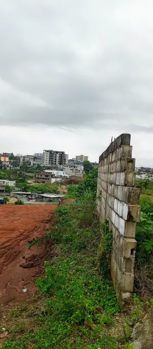 Terrain 8120 M2 a Cocody en Bordure Acd