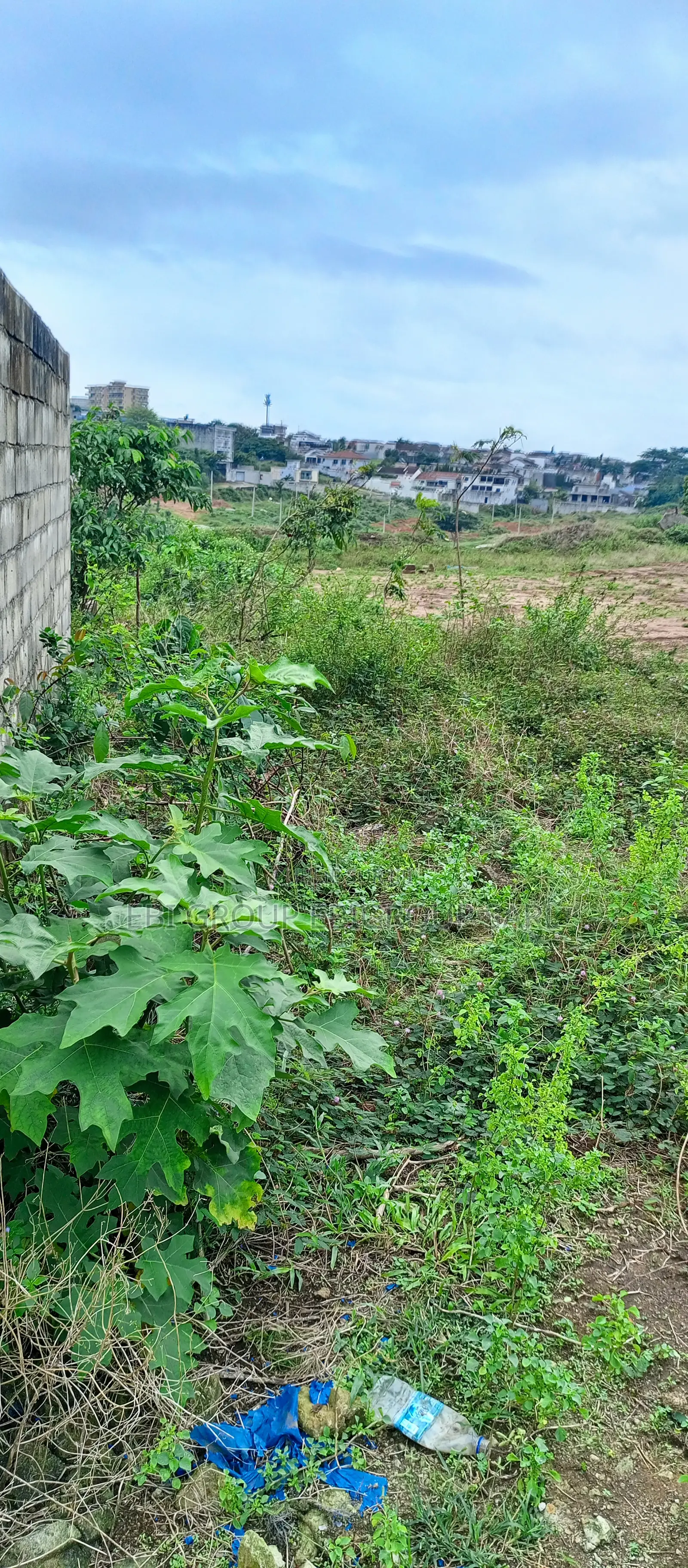 Terrain 8120 M2 a Cocody en Bordure Acd