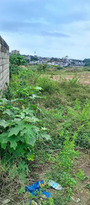 Terrain 8120 M2 a Cocody en Bordure Acd