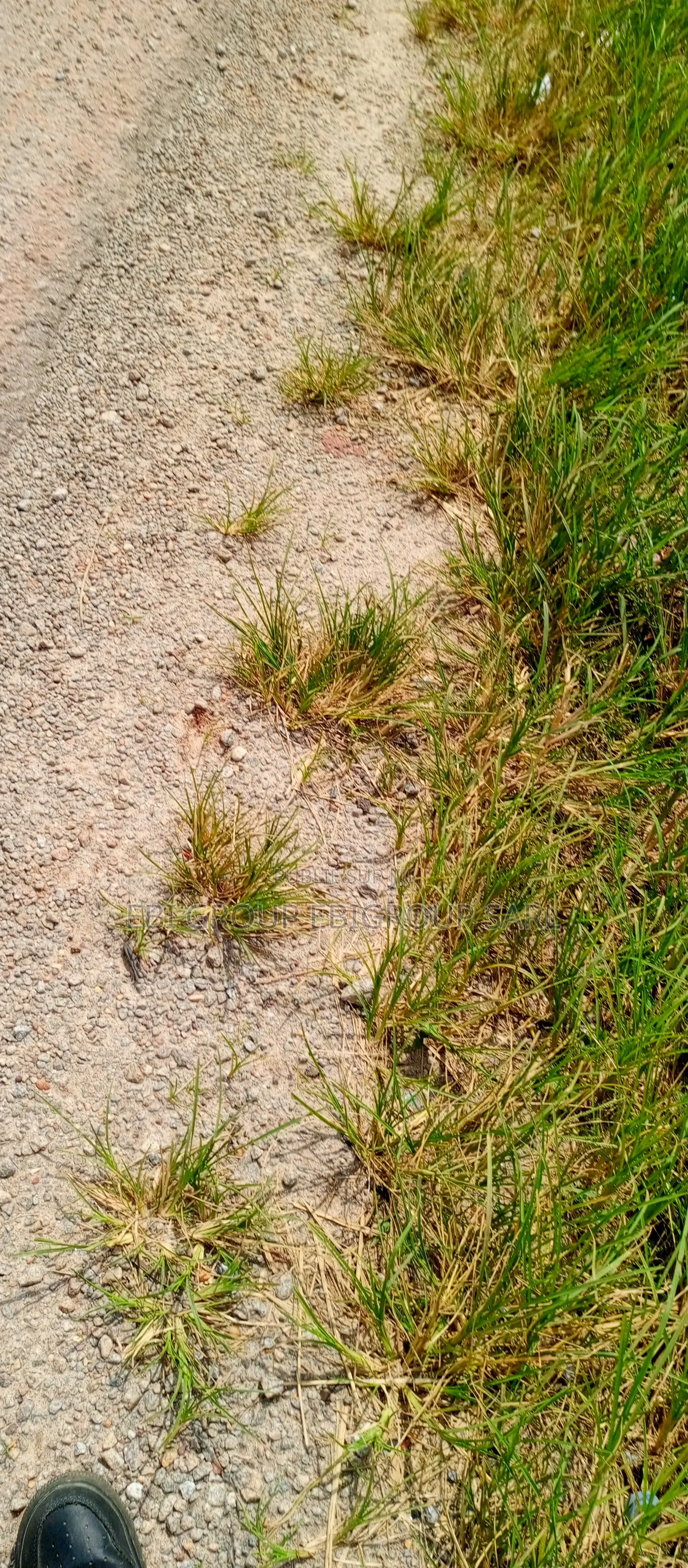 Terrain 2600 M2 a Mbadon a Vendre