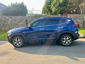 Kia Seltos 2021 Blue