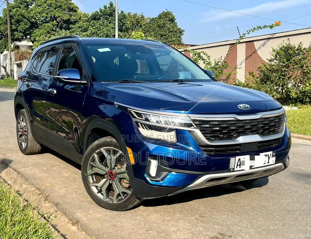 Kia Seltos 2021 Blue
