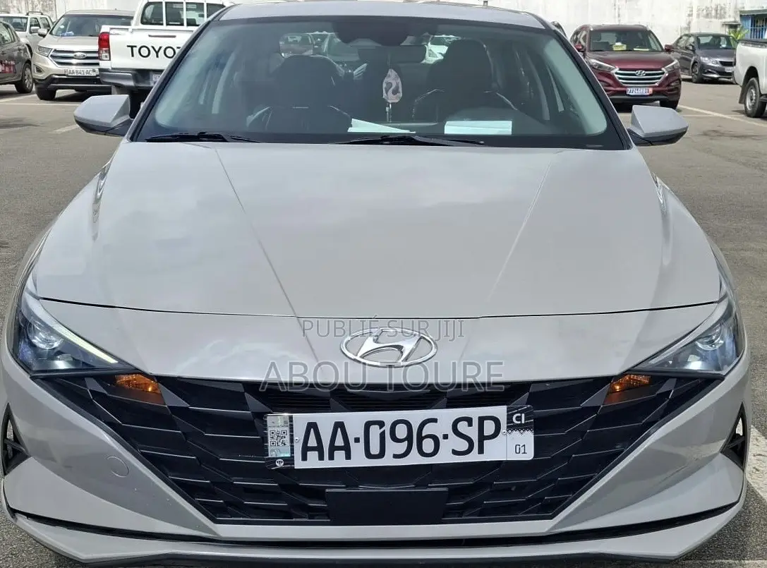 Hyundai Elantra 2021 Gris